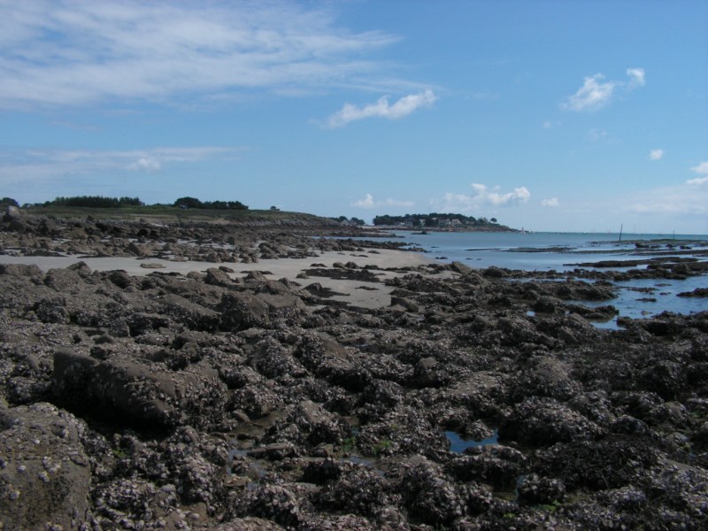 PICT0329 [800x600].JPG - Les côtes bretonne